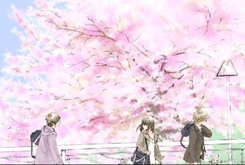 雏鸟me官网